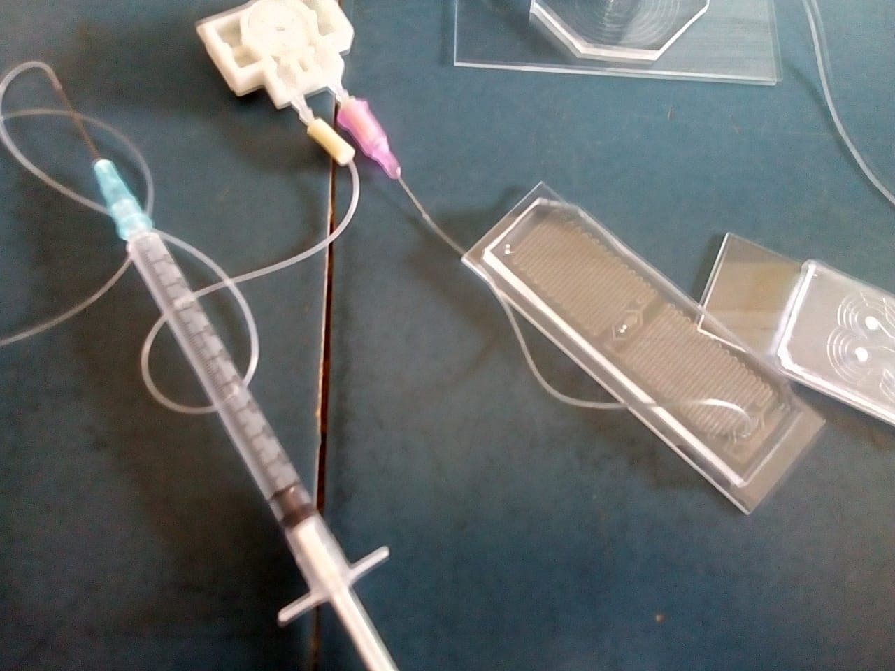 Microfluidic diagnostic device